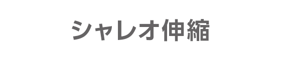 シャレオ伸縮