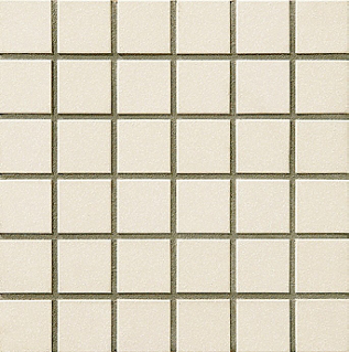 カラコンモザイクSカラー