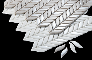 シャインリーフ